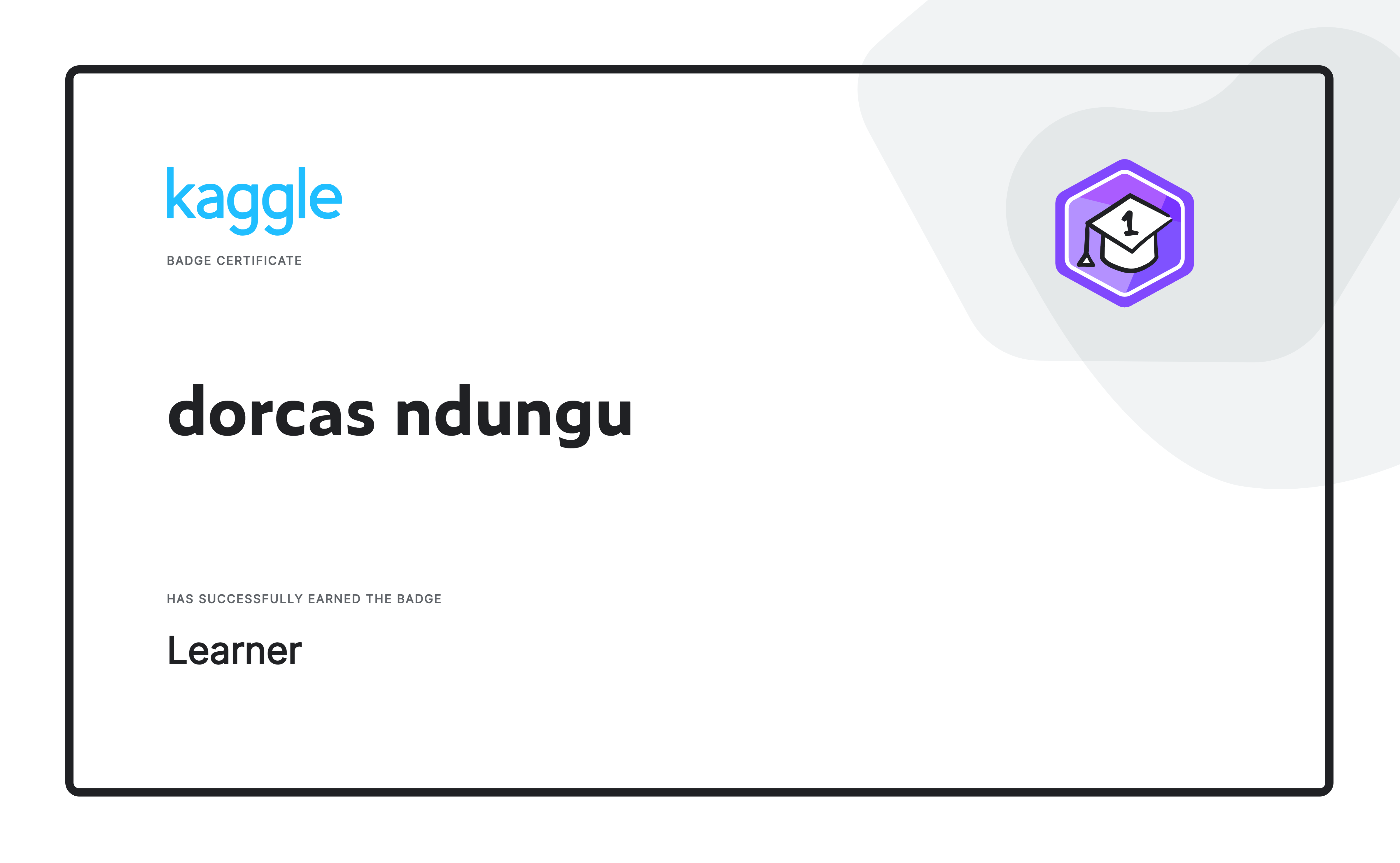 Kaggle Learner